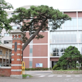 新潟大学