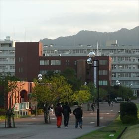宮崎大学